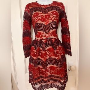 BLUSH NOIR LACE DETAILED LACE DRESS